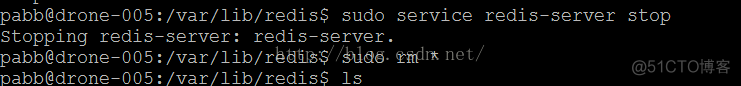 redis 主从选举过程 redis主从实现_数据_04