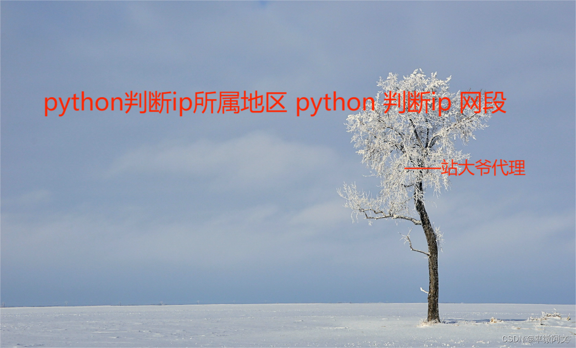 python 判断ping网关是否ping通 python ip地址判断_Python