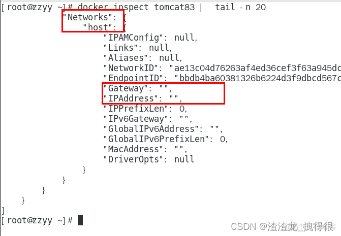 如何查看当前docker网络 docker查看网络连接_tomcat_11