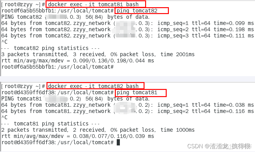 如何查看当前docker网络 docker查看网络连接_docker_23