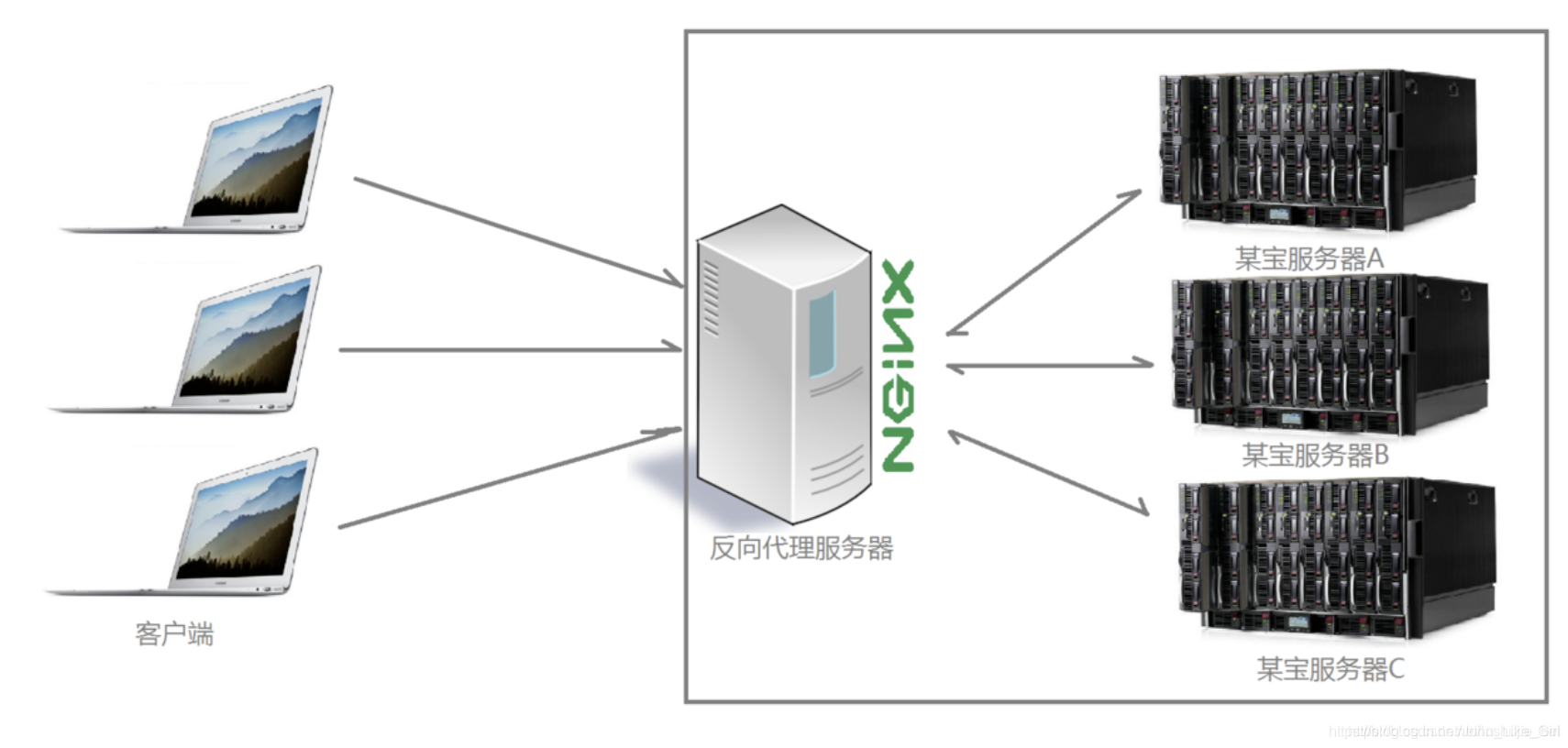 国内nginx源 nginx是否开源_Nginx_03