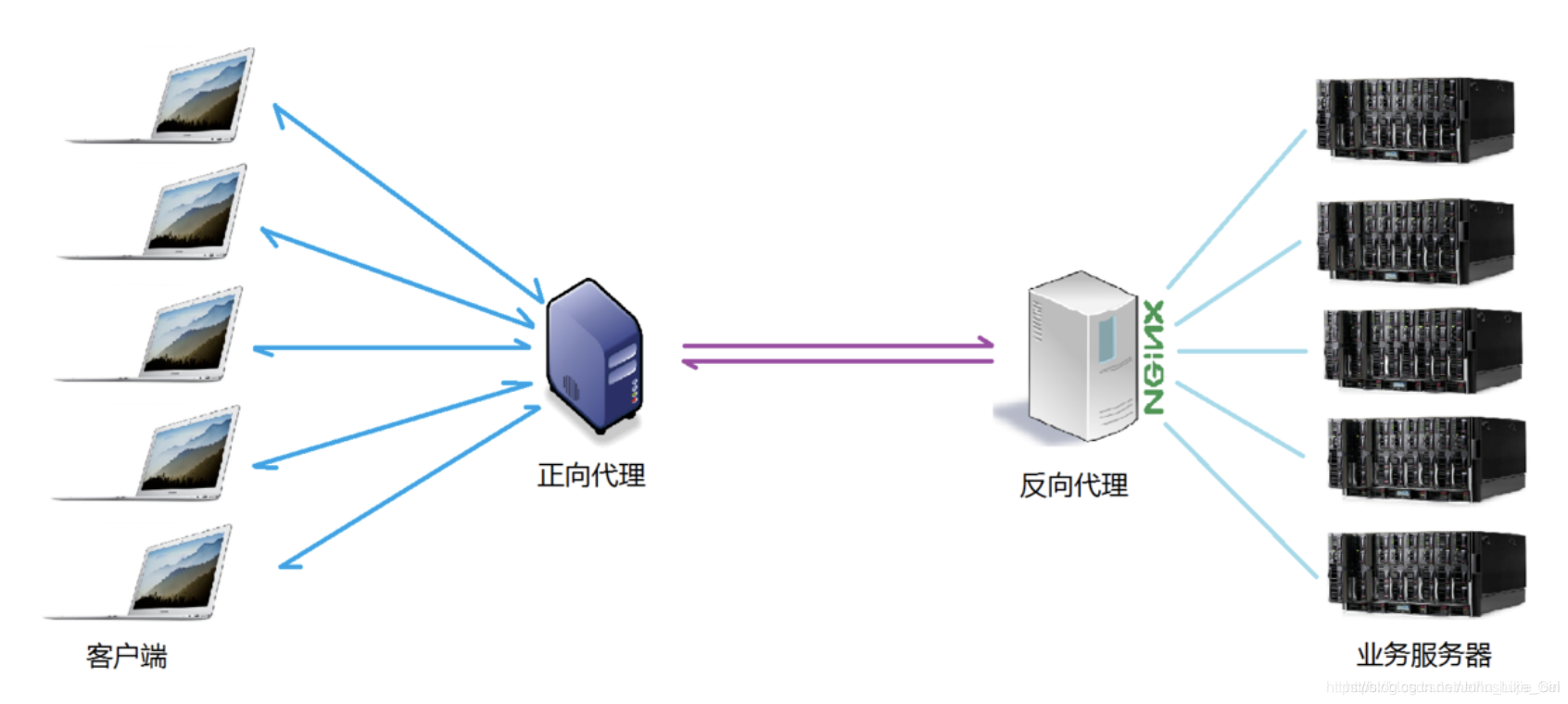 国内nginx源 nginx是否开源_国内nginx源_04