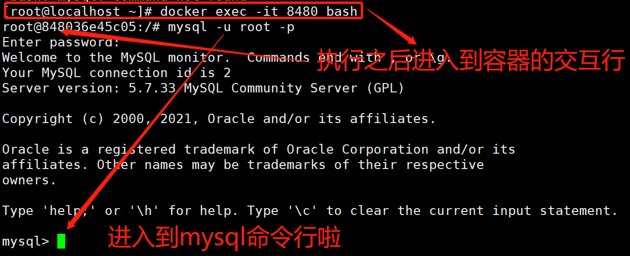 docker多个mysql服务器 docker安装多个mysql_linux_09