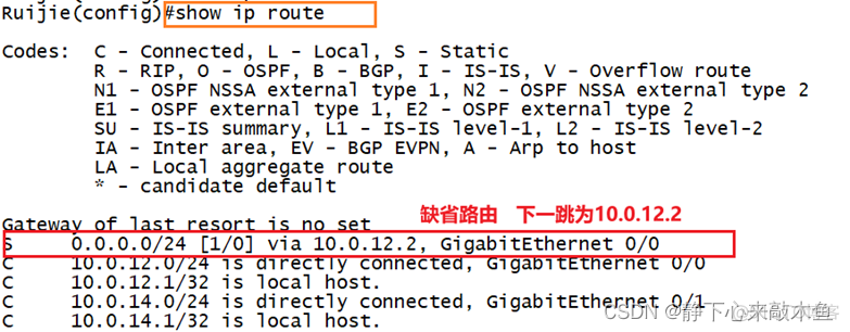 ospf bfd配置详解 ospf与bfd联动_网络协议_02