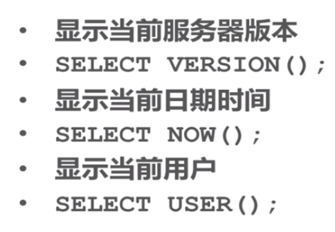 MySQL转化性别显示 mysql设置性别_主键_04