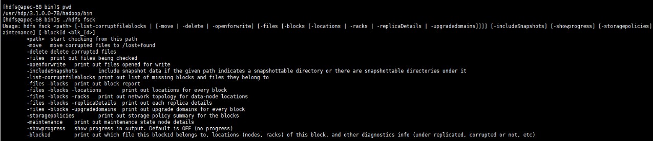 HDFS具有容错性 hdfs使用什么保证容错性_shell_04