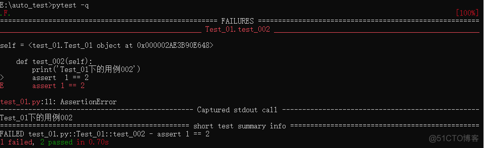 pytest运行传入外部参数 pytest执行参数_pytest运行传入外部参数_09