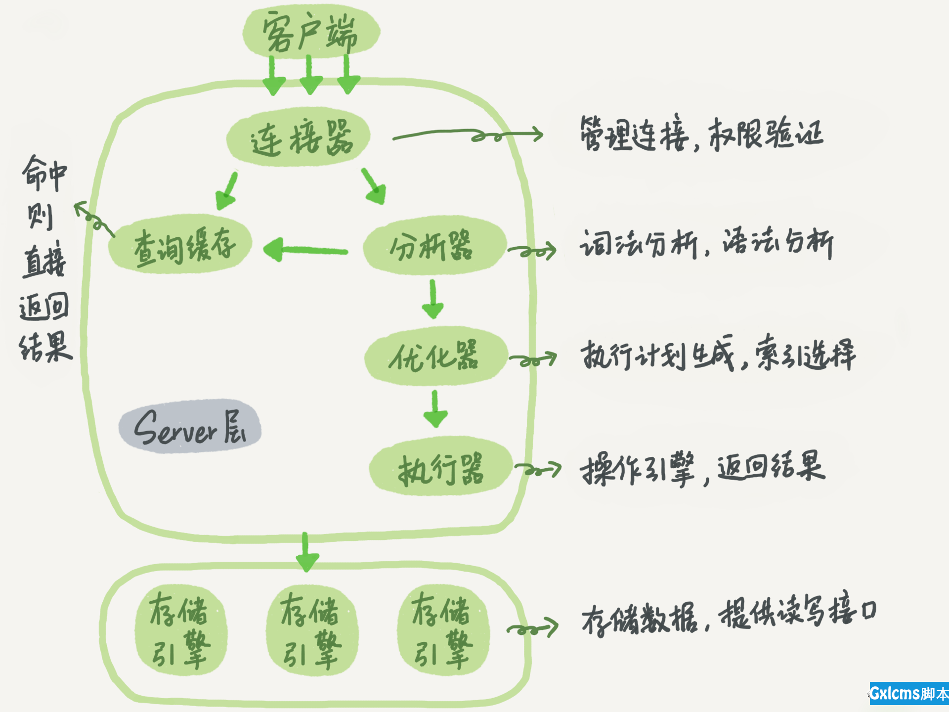 mysql 创建数据库指定 数据库文件位置 mysql创建的数据库在哪_mysql数据库在哪执行_02