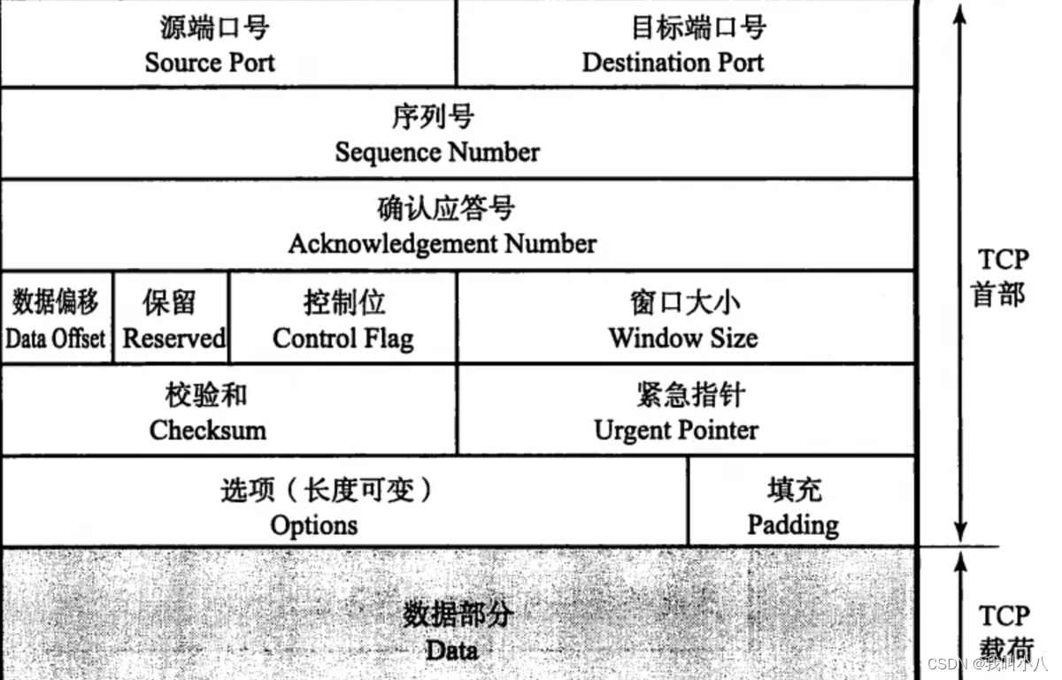 使用wireshark监听另一台电脑 wireshark 监听模式_网络_03