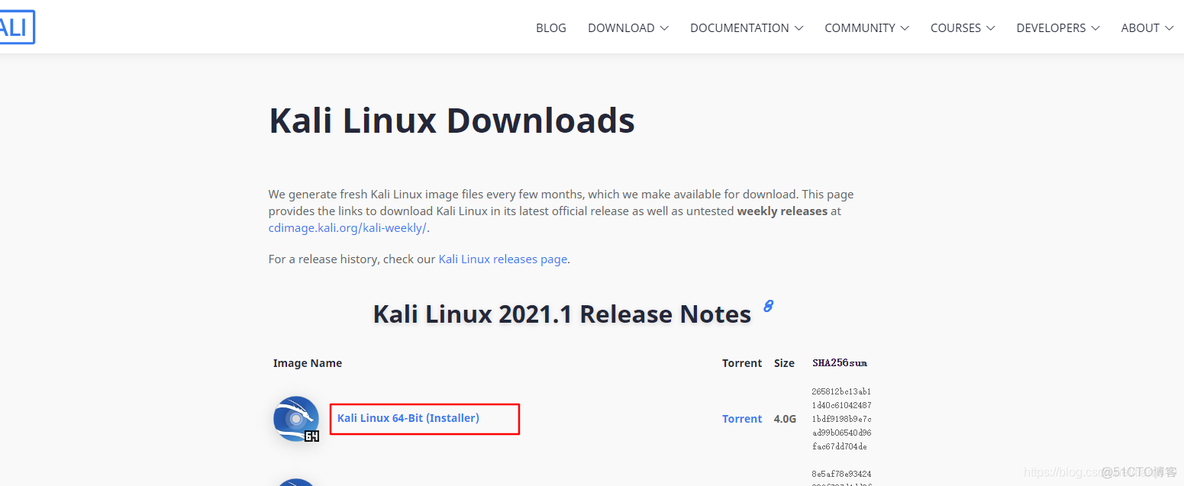 kali linux手机版 ios kali linux手机直装版_官网