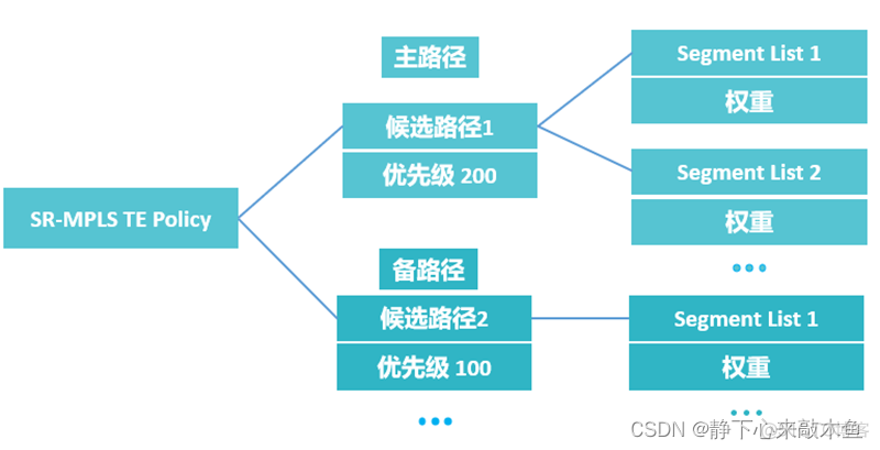 mpls域 mpls域是什么_mpls域_16