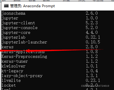 pytorch安装了却不能import pytorch下载不下来_Tensorflow_11