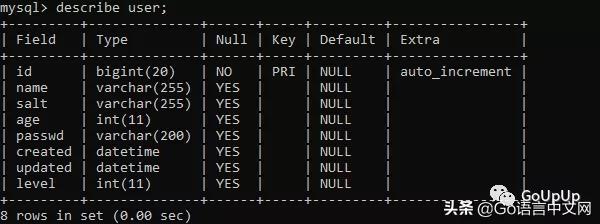 命令查看 mongo索引 mongo查询指定字段命令_mysql_02