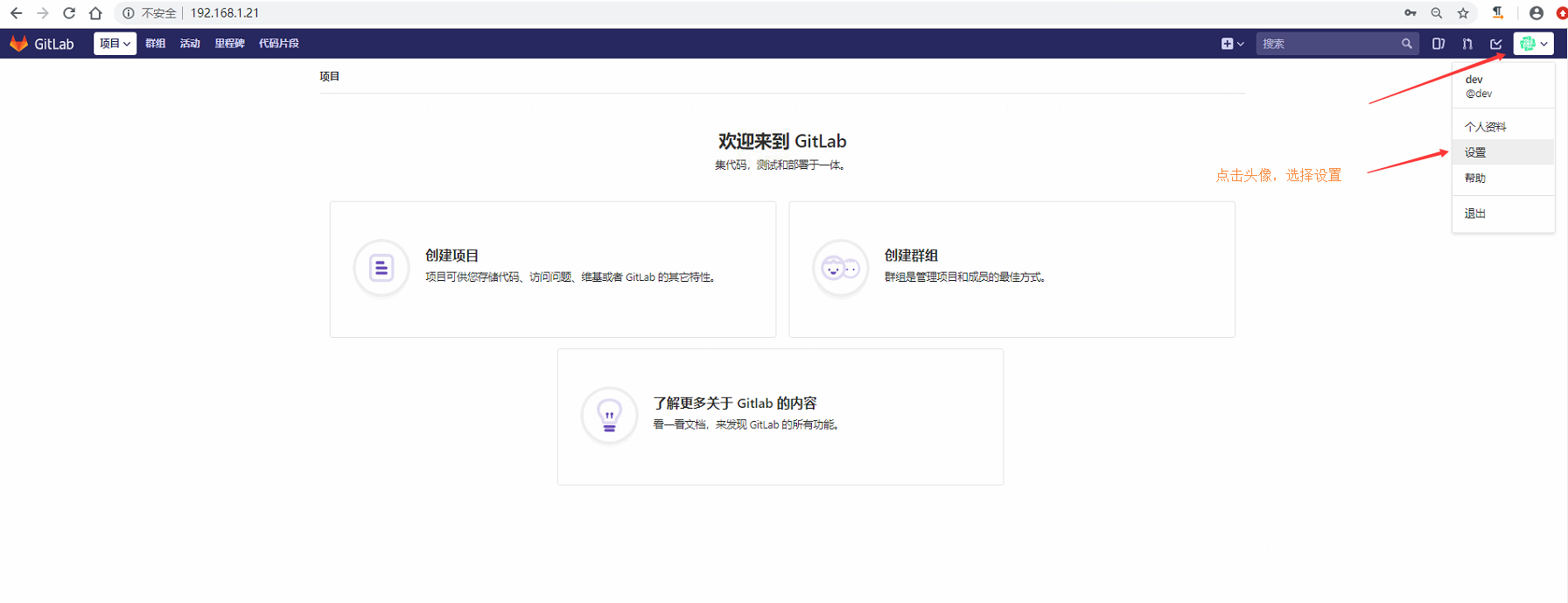 idea add gitlab account 中的token是什么 gitlab的token在哪里设置_nginx_24