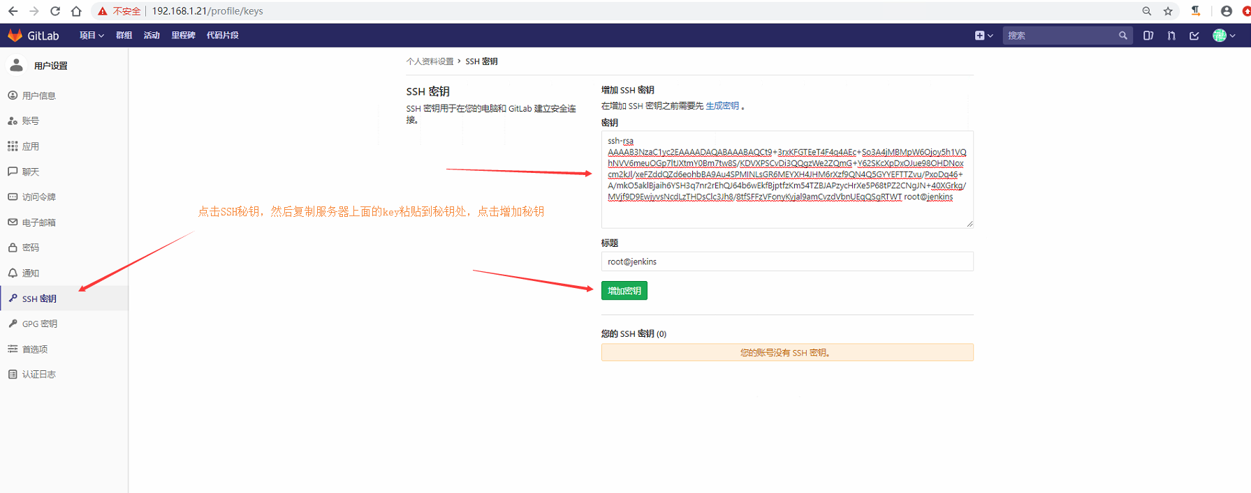 idea add gitlab account 中的token是什么 gitlab的token在哪里设置_nginx_25