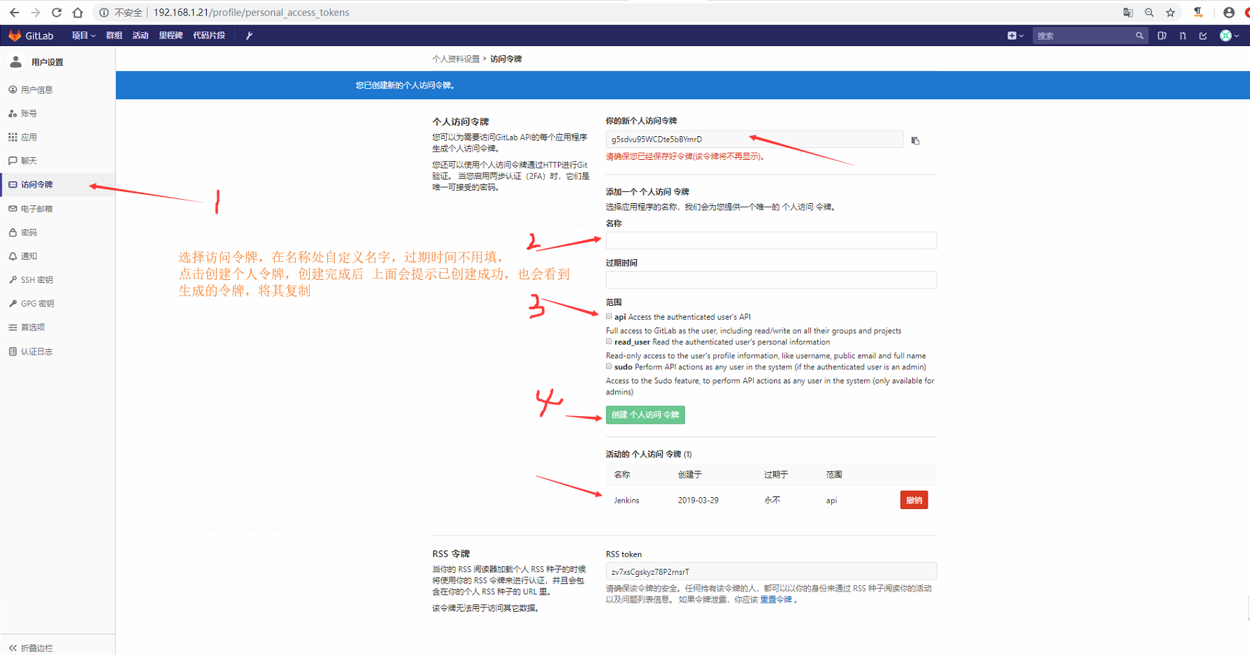 idea add gitlab account 中的token是什么 gitlab的token在哪里设置_操作系统_41