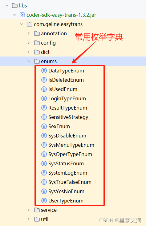 springboot 数据字典sdk springboot字典翻译_自定义