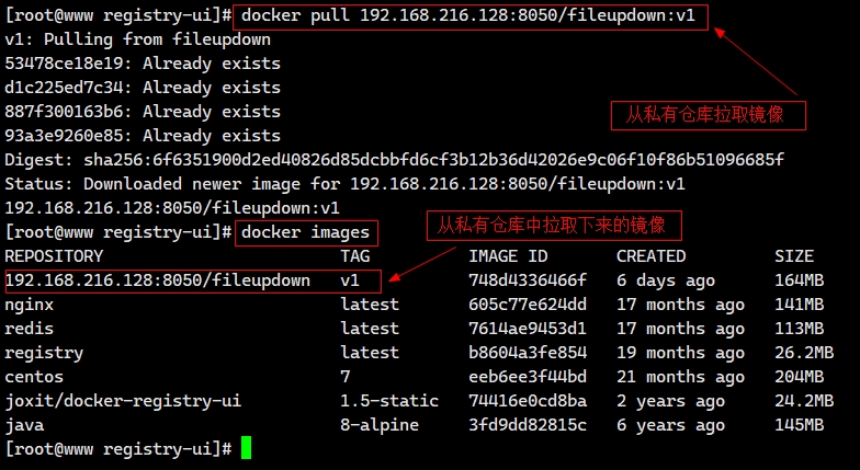 docker 镜像配置py包文件 docker 配置镜像仓库_docker_11