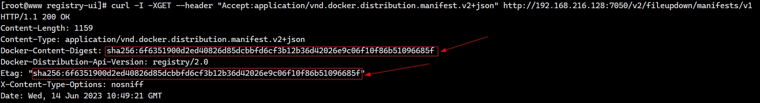 docker 镜像配置py包文件 docker 配置镜像仓库_私有仓库_13