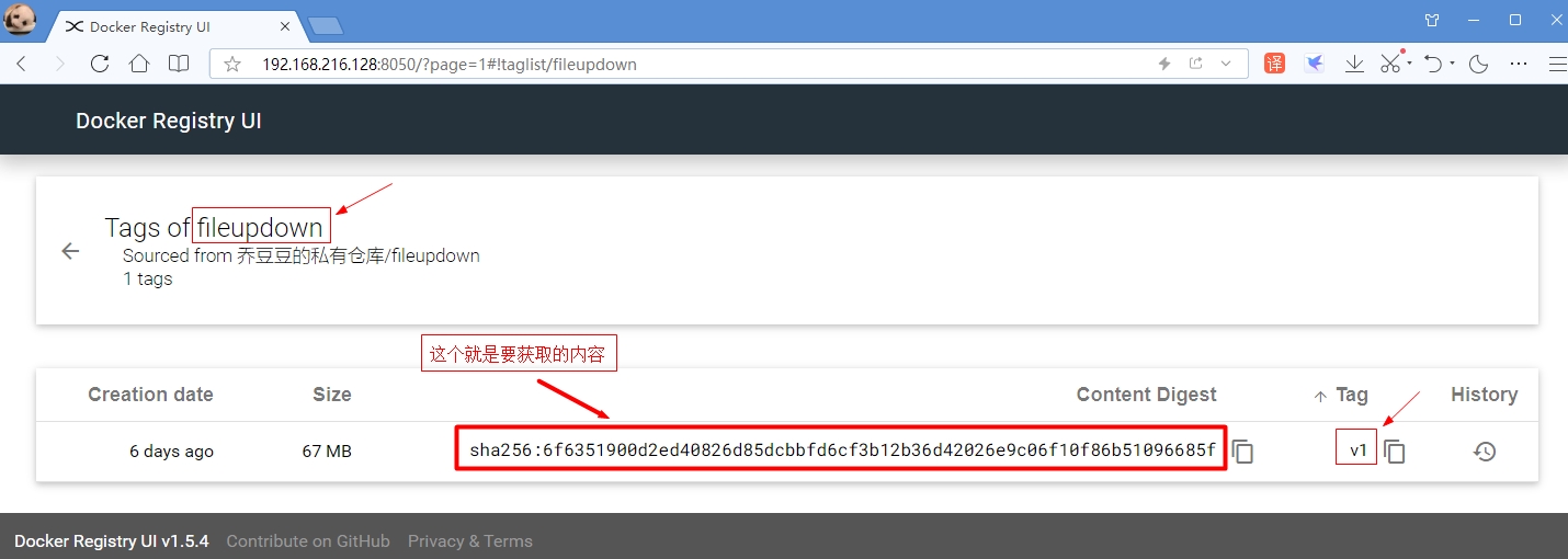 docker 镜像配置py包文件 docker 配置镜像仓库_docker_14