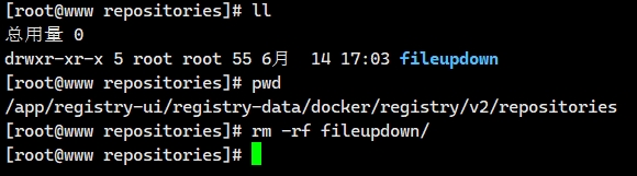 docker 镜像配置py包文件 docker 配置镜像仓库_Docker_18