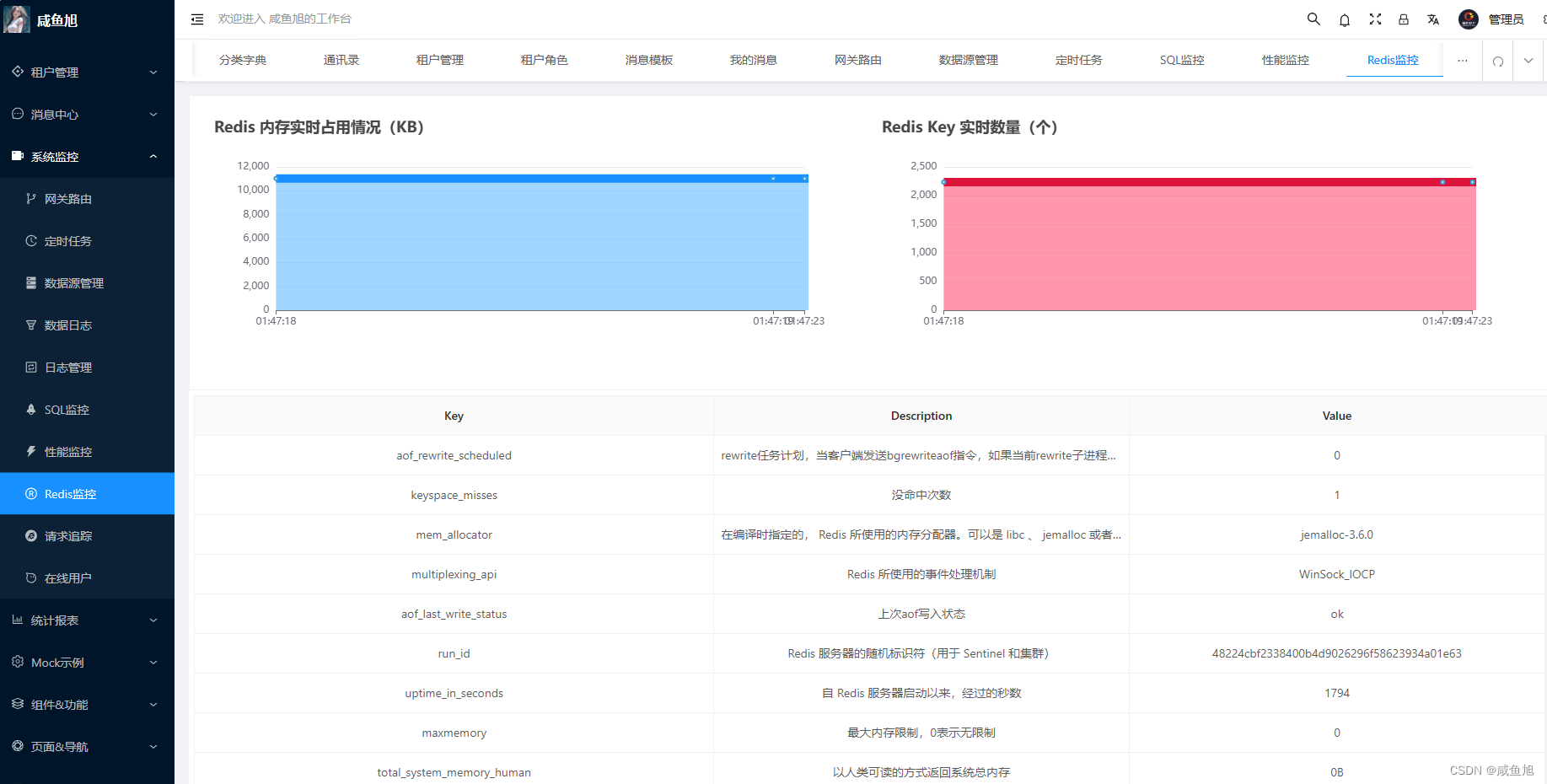 若依 框架的redis 如何使用 若依框架优势_java_09