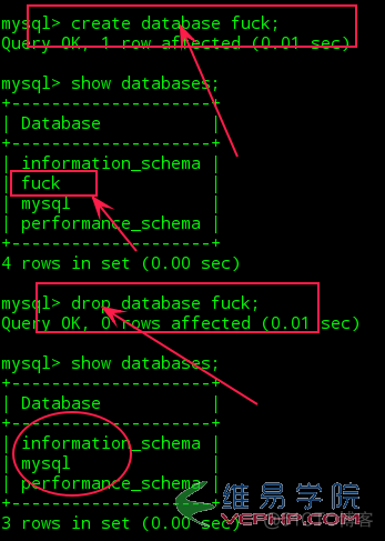 mysql实践项目案例 mysql案例教程_mysql_06