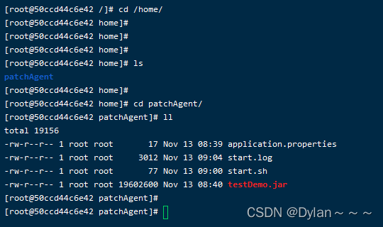 宿主机执行docker的命令 docker执行宿主机shell_java_02