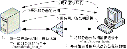 ssh公钥上传 ssh公钥作用_bash_02