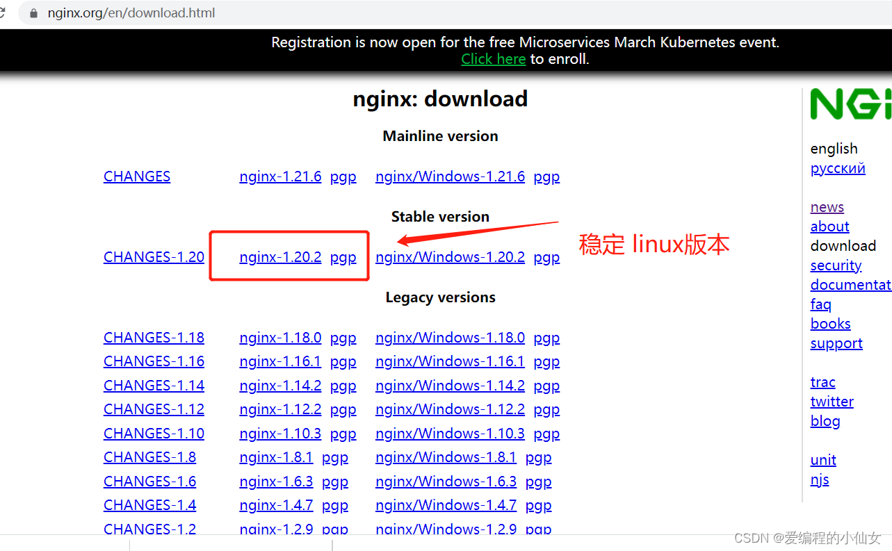 nginx下载中文模版 nginx官网中文_代理服务器