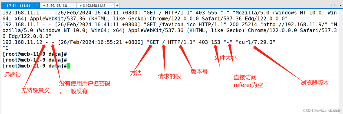 nginx 打印upstream日志 nginx 打印自定义日志_客户端_30