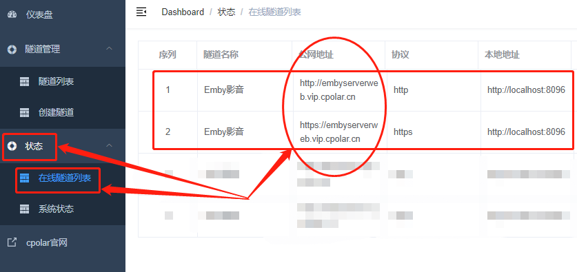 emby windows服务端 开心版 emby电脑客户端_内网穿透_24