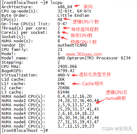 docker查看mongdb版本 docker查看系统版本_redis