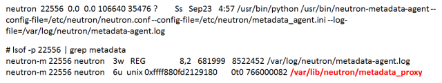 openstack 虚拟机默认磁盘在哪 openstack查看虚拟机_IP_11