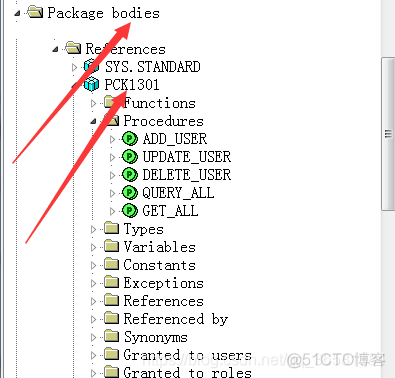 sql server 查询时自动变大写 sql查询首字母大写的信息_java_02