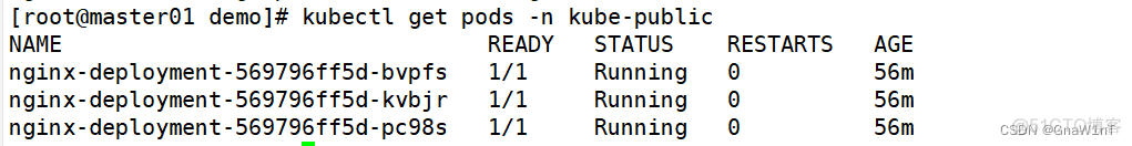 kubernetes 修改默认namespace kubectl 修改副本_nginx_05