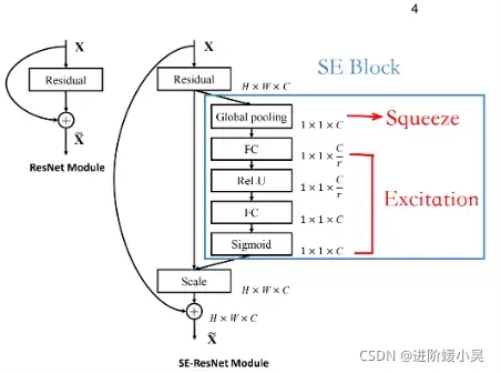 resnet多任务 resnet中加入se_权重_15