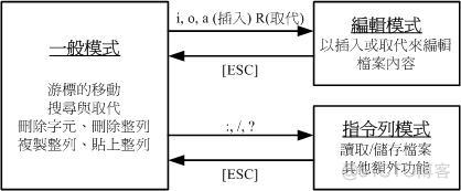 vite 开发检查typescript vi test.c_文本编辑器