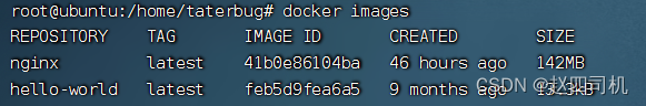 docker 容器内目录映射 windows docker 映射目录_面试_06