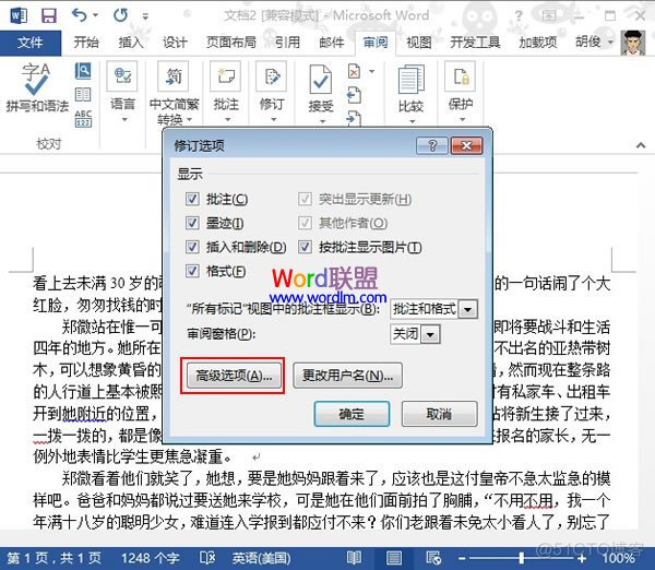 java poi word打开显示修订记录 word一打开显示修订_Word_02