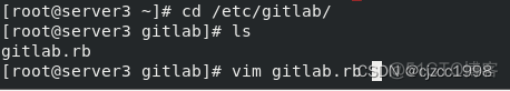 gitlab仓库头像 gitlab仓库搭建_git_45