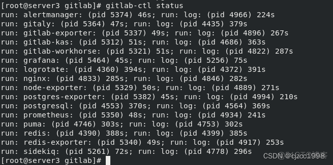 gitlab仓库头像 gitlab仓库搭建_gitlab_48