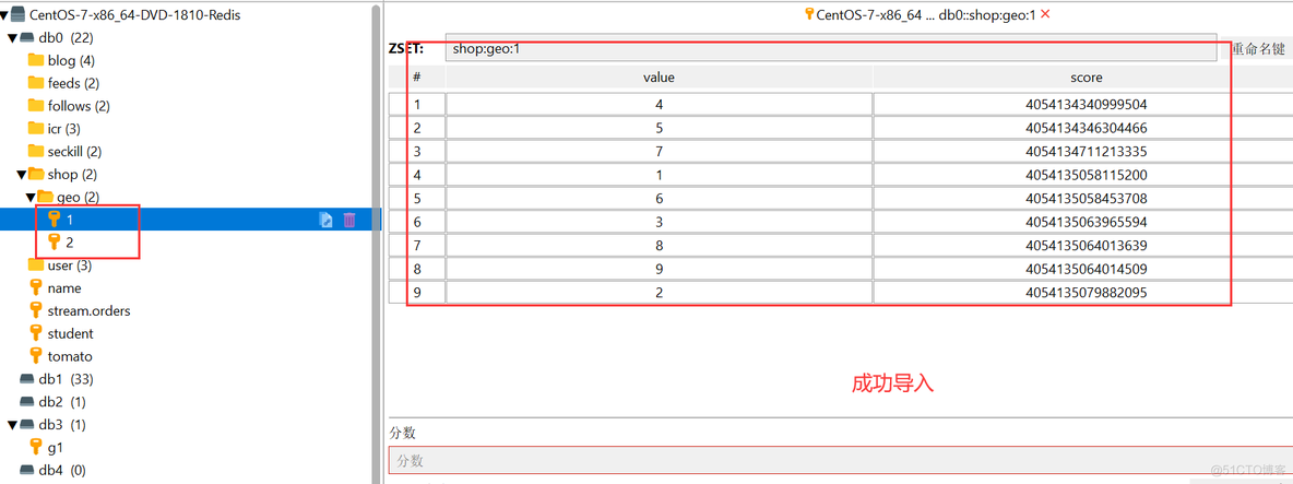 国产可以装redis redis国产化替代_国产可以装redis_12