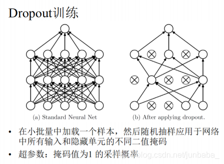 pytorch使用dropout放在哪 pytorch的dropout函数_测试阶段