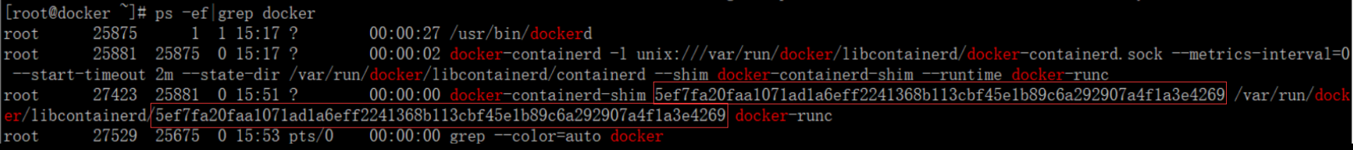 Linux 查看 docker 容器时间 什么命令查看docker容器_json_10