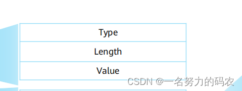 ospf的报文解析 ospf的报文类型_HCIP_02