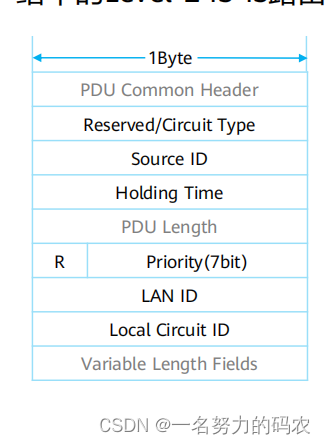 ospf的报文解析 ospf的报文类型_ISIS_05