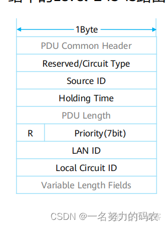 ospf的报文解析 ospf的报文类型_数据核心_05