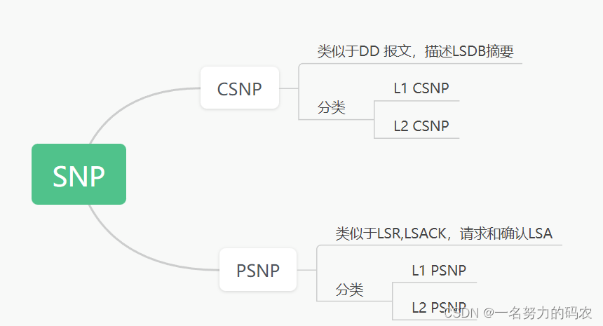 ospf的报文解析 ospf的报文类型_HCIP_06