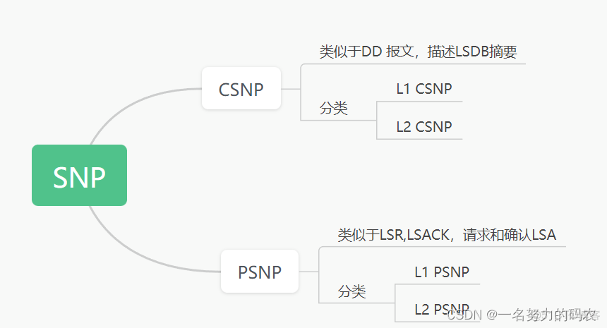 ospf的报文解析 ospf的报文类型_数据核心_06